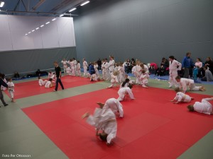 2013 03 05 - 007 Per Ottosson  